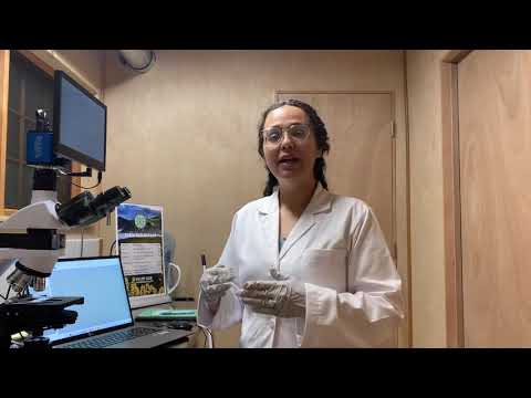 Soil Microbiome Analysis Preparation